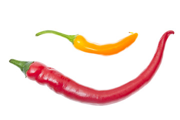 Fresh Colorful Hot Chili Pepper on White