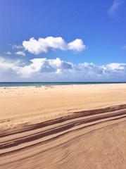 Fototapeta na wymiar desert beach