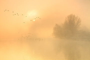 River Thames near Oxford, UK.