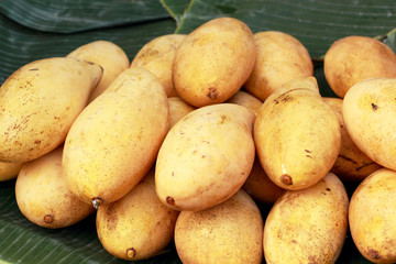 Ripe mango in the market