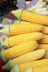 Sweet corn in the market