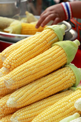 Sweet corn in the market
