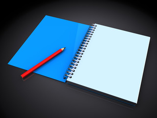 notepad and pen