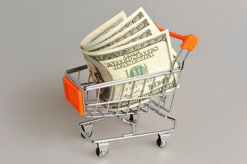 Money in shopping cart on gray background