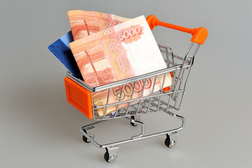 Money, credit card in shopping cart on gray