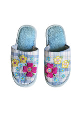 Blue slippers