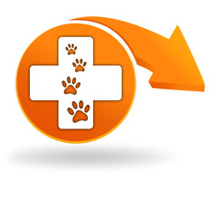 vétérinaire sur bouton orange