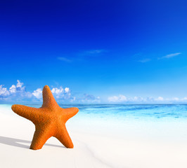 Fototapeta na wymiar Starfish on Beautiful Tropical Beach