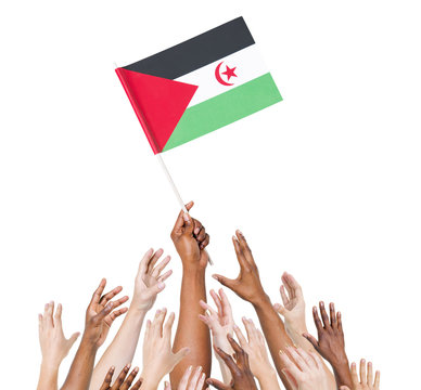 Diverse Holding The Flag of West Sahara