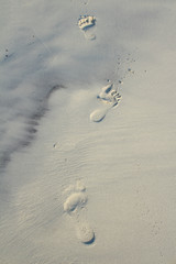 Footprints on white beach sand background
