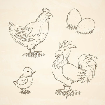 Vector Illustration of Rooster, Hen, Chick and Eggs