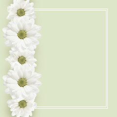 Background with daisy flowers line