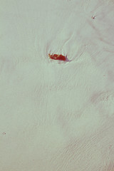 Vintage white beach sand textured useful for background,filtered