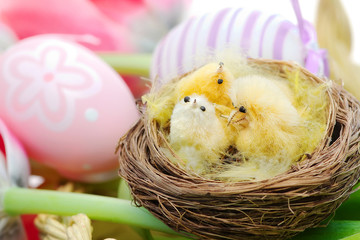 decorative bird in a nest over easter background