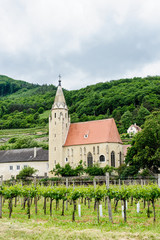 Church in the Vineyard