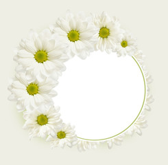 Fototapeta premium Background with daisy flowers