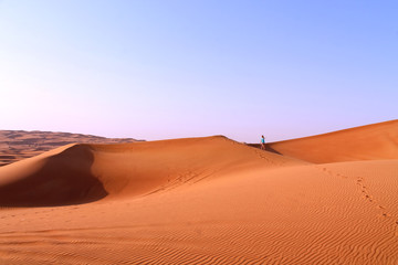 Fototapeta na wymiar girl in the desert