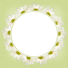 Background with daisy flowers