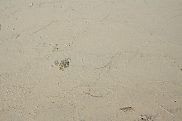White beach sand textured useful for background