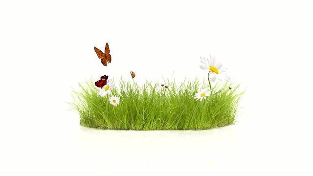 Spring time butterfly flying over flowers and grass