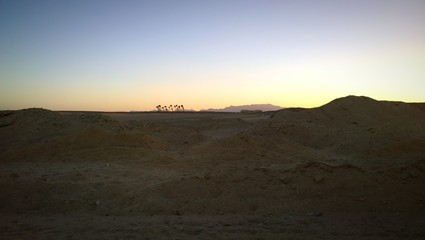 Oasis in a desert
