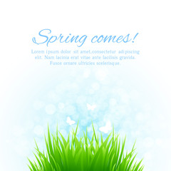 Obraz premium Spring grass vector background