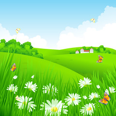 Fototapeta premium Spring grass vector background