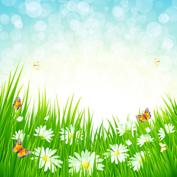 Spring grass vector background