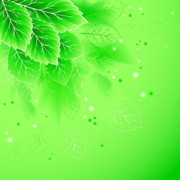 Spring leaf vector background