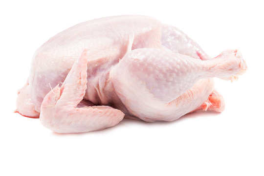 Raw chicken isolated horizontal close up