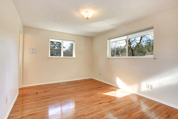 Warn colors empty room with two small windows