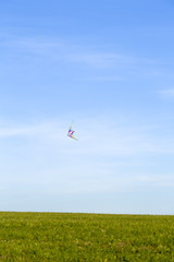 Flight of a kite in sky over a field