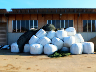 Landwirtschaftliche Lagerhallen