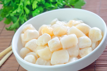scallop