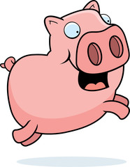 Pig Jumping