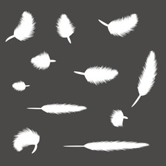 set of feathers