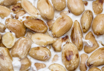 French nougat with almonds