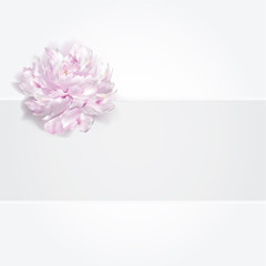 Luxury wedding peony card, background, vector illustration,