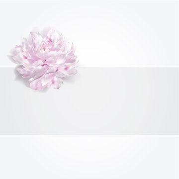 Luxury wedding peony card, background, vector illustration,