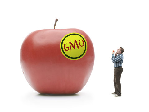Giant GMO apple