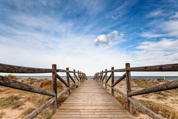 Wood path in the beach