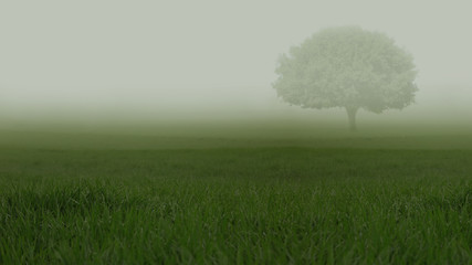 Fototapeta na wymiar Zielone pola w ciężkiej mgle z samotnym drzewem