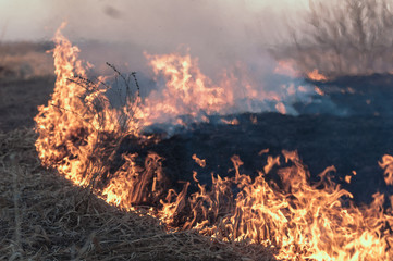 the fire in the valley of the river in the early spring