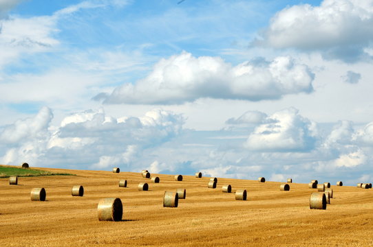 รูปภาพMeule – เลือกดูภาพถ่ายสต็อก เวกเตอร์ และวิดีโอ2,435 | Adobe Stock