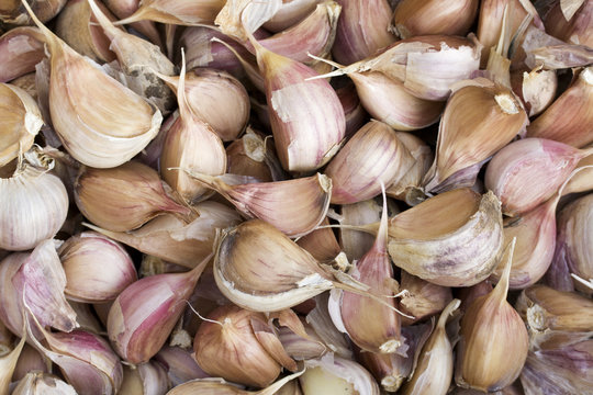 Crop of garlic background. Closeup.