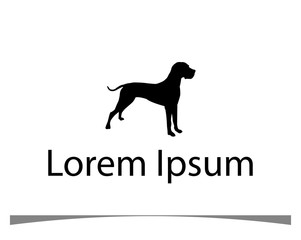 company name