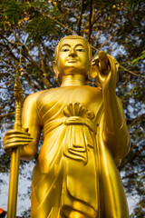 Golden Buddha