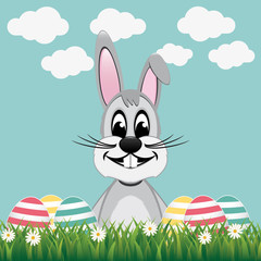 happy gray bunny colorful eggs daisy meadow