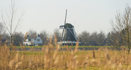 Ancient windmill seen from nature in winter