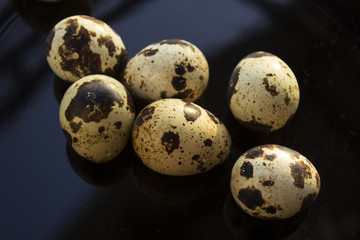 Obraz premium quail eggs